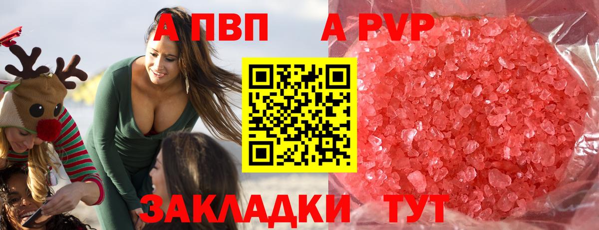 APVP СК Новотроицк