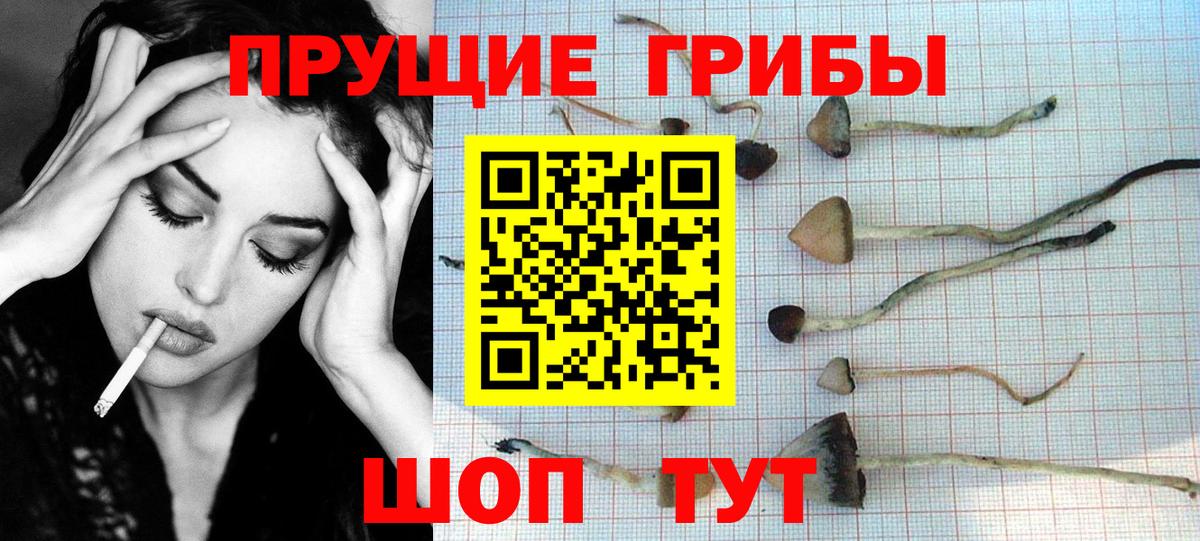 Галлюциногенные грибы Psilocybe  Вход с VPN  Псилоцибиновые грибы Psilocybine cubensis  Новотроицк 