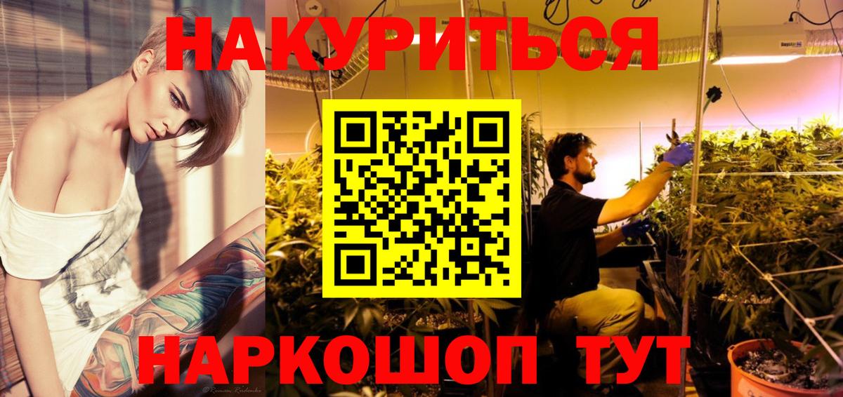 Конопля гибрид Новотроицк